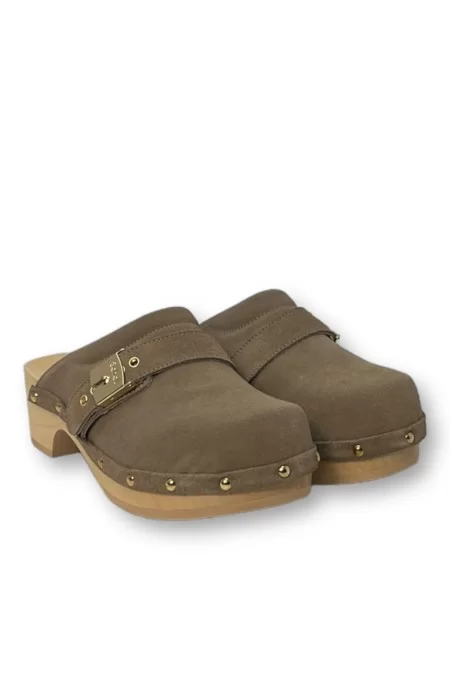 SHOLL ICONIC PESCURA CLOG 50 Nuova