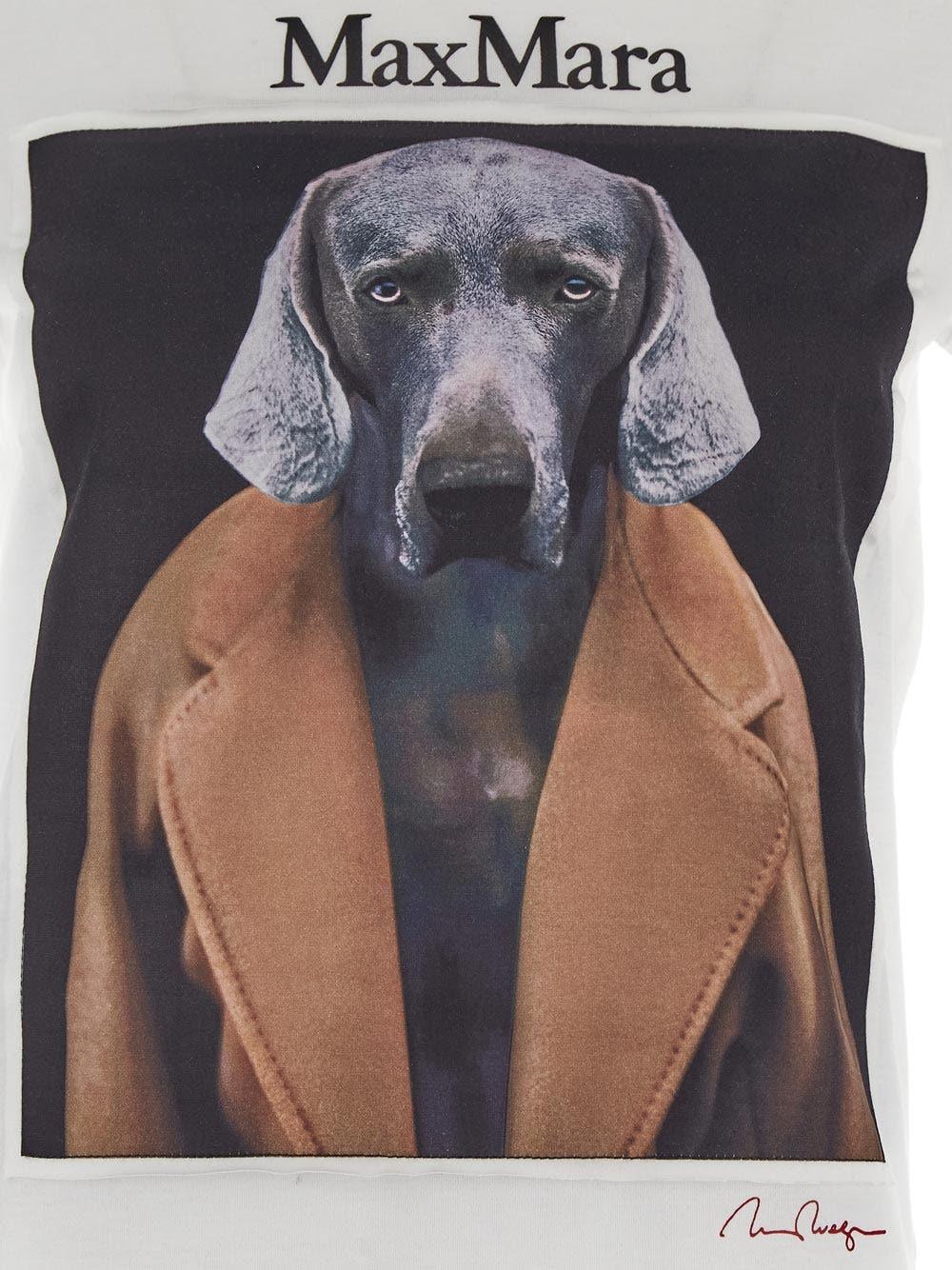Oluxury Max Mara Cipria T-Shirt 2025