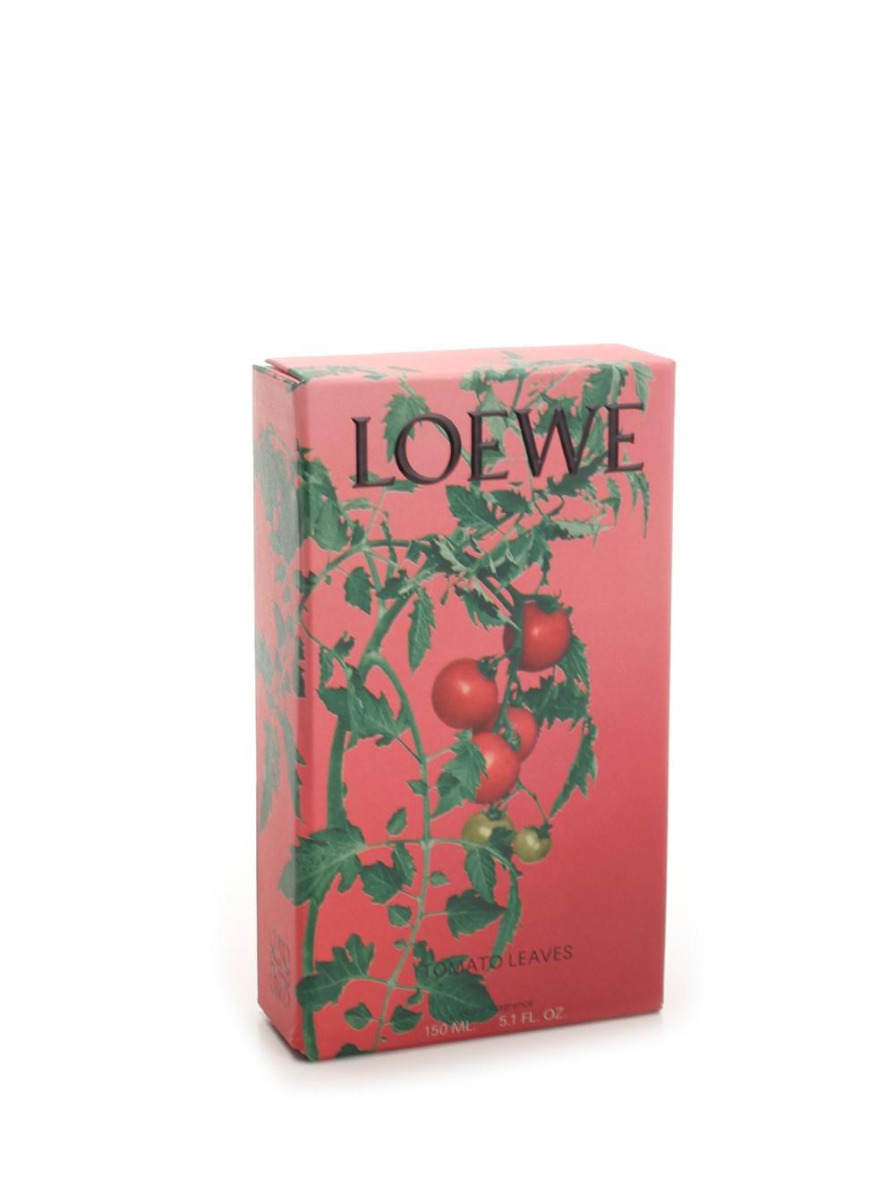 Al Duca D'Aosta Loewe Home Scents Fragranza per ambienti pomodoro Negozio