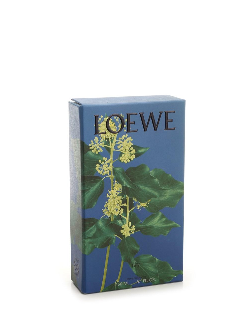 Al Duca D'Aosta Loewe Home Scents Fragranza ambienti edera In Saldo
